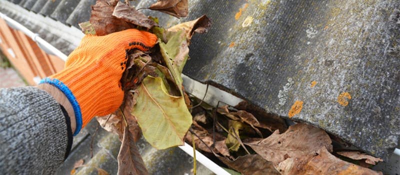 Cleaning fall leaves out of a gutter