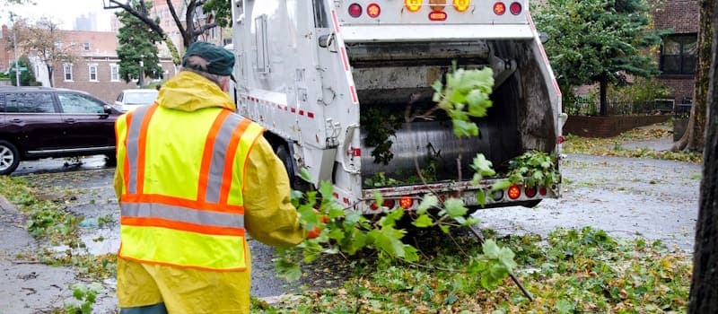 Man clearing tree limbs from the street