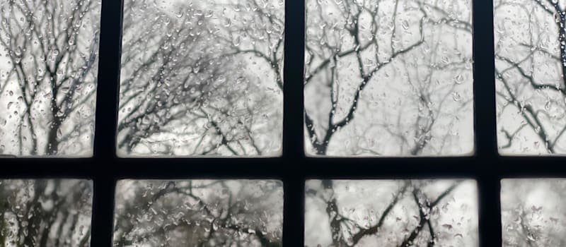 Icy wet winter day