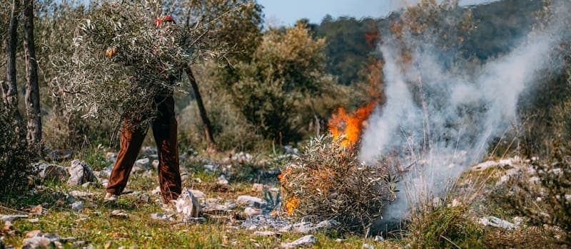 Man burning brush